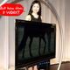 Illustration for article titled Giz Explains LCD TV Basics